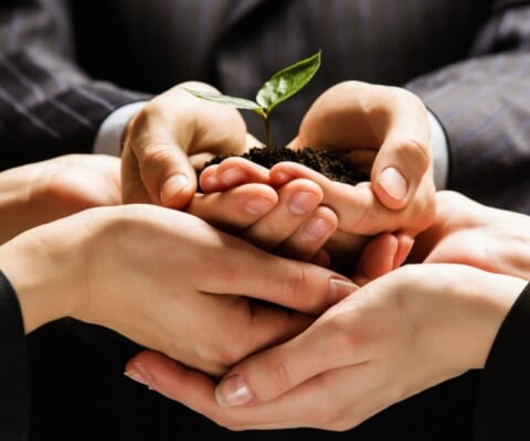 cong-ty-doi-von-la-gi-nhung-uu-va-nhuoc-diem-cua-cong-ty-doi-nhan1