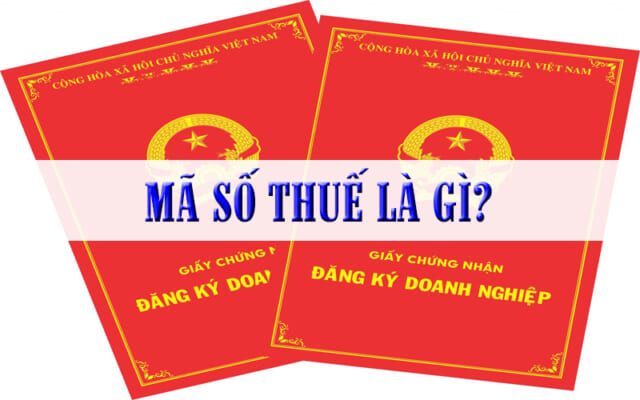 Mã số thuế là gì?